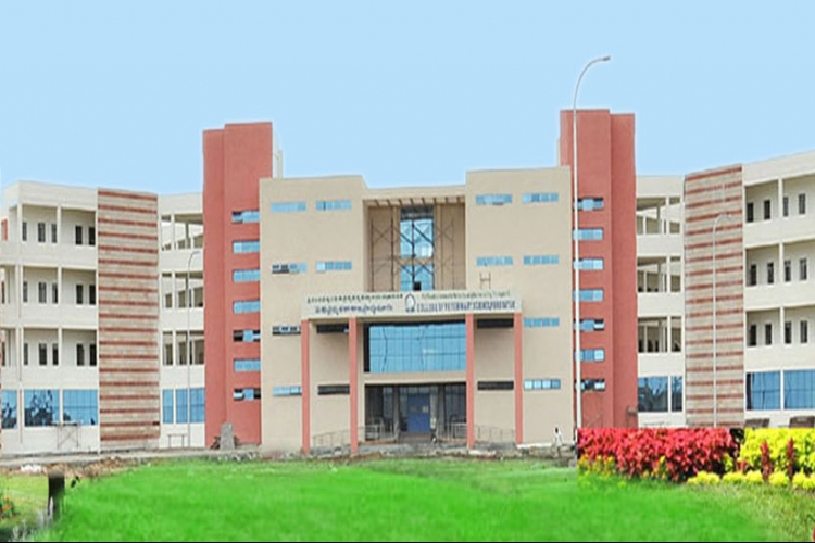 College Campus